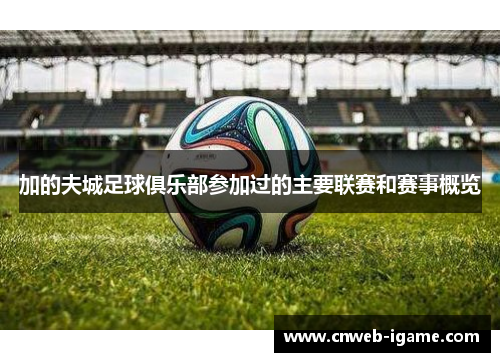 加的夫城足球俱乐部参加过的主要联赛和赛事概览 加的夫城足球俱乐部参加过的主要联赛和赛事概览