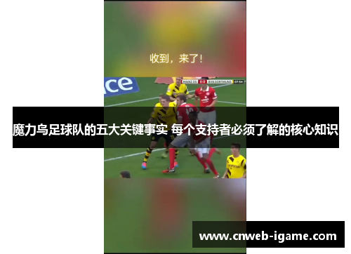 魔力鸟足球队的五大关键事实 每个支持者必须了解的核心知识
