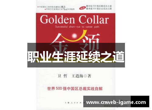 职业生涯延续之道