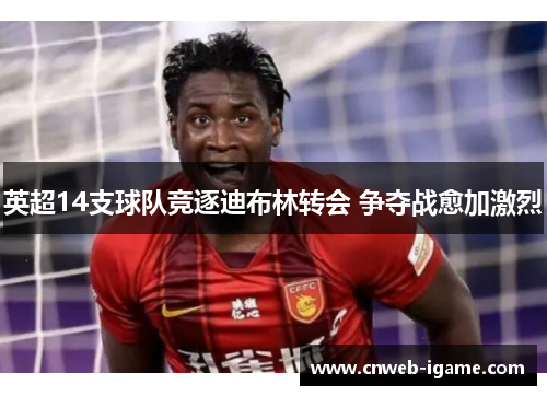英超14支球队竞逐迪布林转会 争夺战愈加激烈